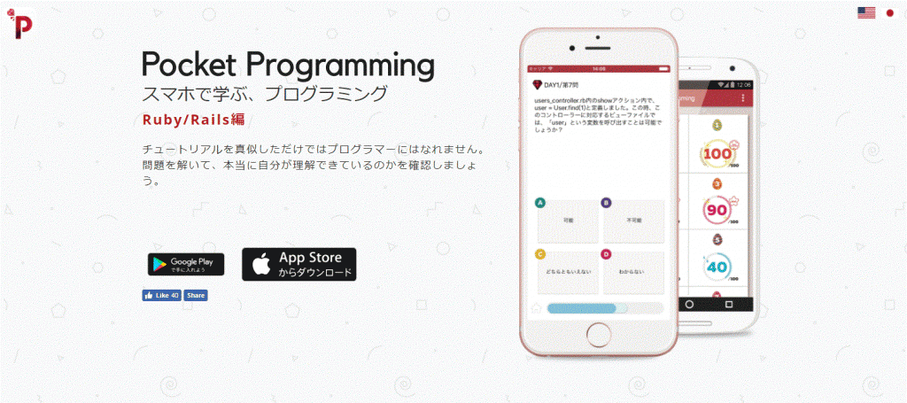 Pocket Programming