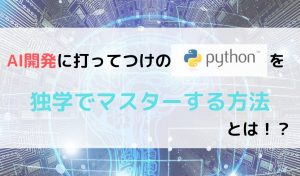 Python 独学