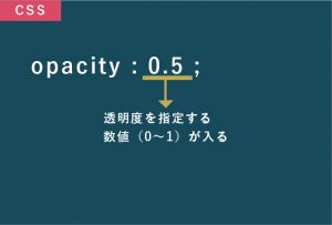 CSSで透明度を指定する方法【opacityとrgbaの使い分け方】 - WEBCAMP MEDIA