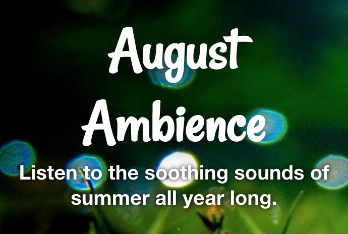 AUGUST AMBIENCE