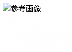 参考画像